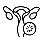 Bioregeneración de Vagina y Pene